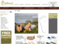 healthyfeetorthotics.com