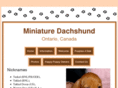 miniaturedachshundlove.ca