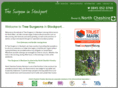 treesurgeonstockport.com