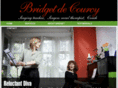 bridgetdecourcy.co.uk