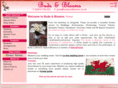 budsandblooms.co.uk