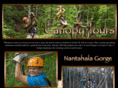 canopytoursinthemountains.com