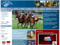 horseracingtackandsupplies.com