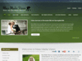 massmediavision.com