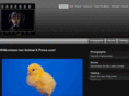 animalxpress.com