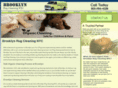 brooklyn-rug-cleaning-nyc.com