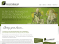 fallenbaumcpa.com