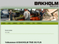 bakholm.com