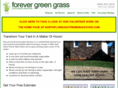 forevergreenyard.com