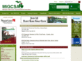 migcsa.com