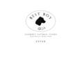 bestboyproducts.com