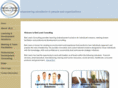 boblewisconsulting.com