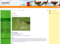nesibug.com