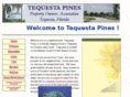 tequestapines.com