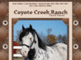 coyotecreekpaints.com