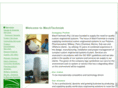 mechtechniek.com