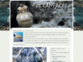 oceanfaces.com