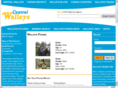 walleyepicture.com
