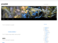 youalab.com