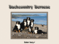 backcountrybernese.com