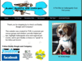 buddybeagleandcompany.com