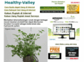 healthy-valley.com