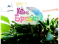 nativeexpressionsjewelry.com