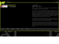 savvygreenevents.com