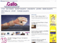 ilgallo.it