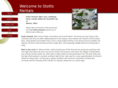 stottsrentals.com