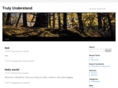 trulyunderstand.info