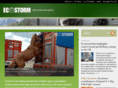 eco-storm.com