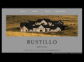 estudiobustillo.com