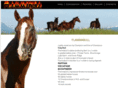 flammabull.com