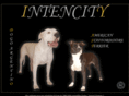 intencitykennel.com