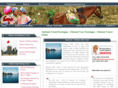vietnamtravelpackage.net
