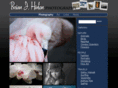 brianjhinton.com