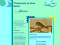bradmartinphotos.com