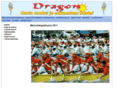 dragonliitto.com