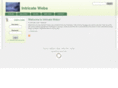 intricatewebs.com