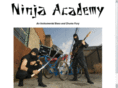 ninjaacademy.net
