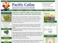 pacificcallas.com