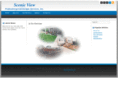 scenicviewlandscaping.com