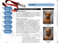 africanlionhound.com