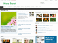 moretreat.com