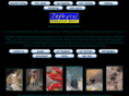 splashadventure.com