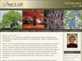 tax-filing-planning-services-accountant.com
