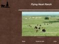 hollibaughflyingheart.com