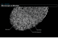 microscopeonminutiae.com