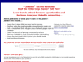 onlinebusinessnetworker.com
